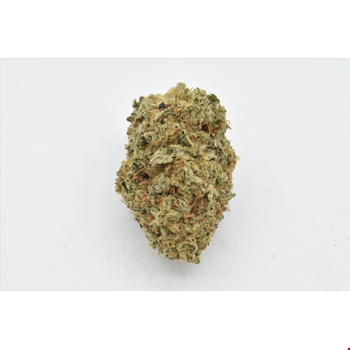 Sangria (Hybrid) - SALE 1 OZ $55